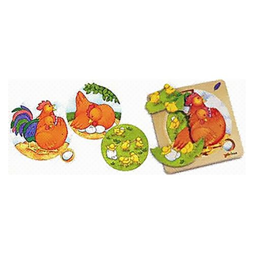 Story Puzzle: Chicken-family