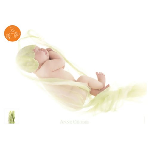 Narzissenknospe, Anne Geddes, 1000 db (57972)