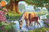 Horses by the stream, 150 db (56161)