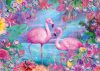 Flamingos, 500 db (58342)