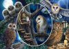 Mysterious owls, 1000 db (59667)