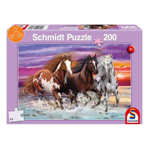 Trio of wild horses, 200 db (56356)