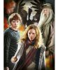 Harry potter 3x1000 db (61884)