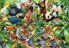 Colorful animal kingdom, 1500 db (57385)